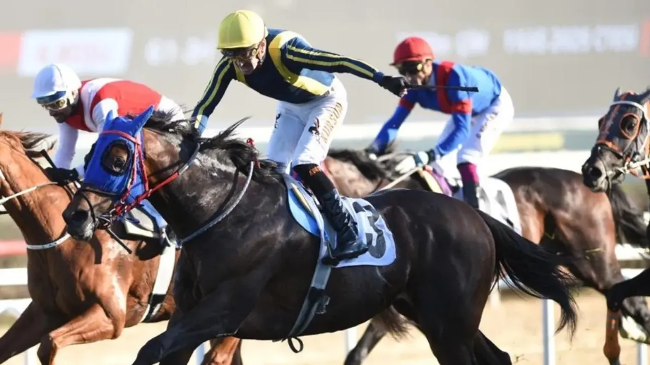 87. Cumhurbaşkanlığı Koşusu'nda Tarihi Zafer: Grande Flusso ve Ayhan Kurşun Zirvede!